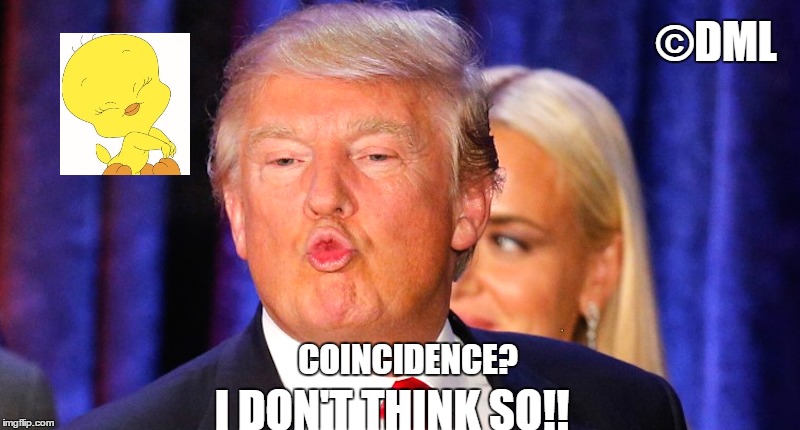 Donald Trump Tweety Bird | ©DML; COINCIDENCE? I DON'T THINK SO!! | image tagged in donald trump,tweety bird | made w/ Imgflip meme maker