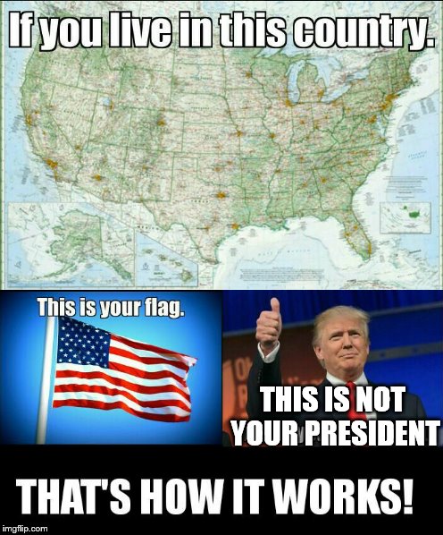 trump not president | THIS IS NOT YOUR PRESIDENT | image tagged in trump | made w/ Imgflip meme maker