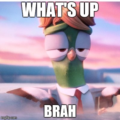 What is up?! | WHAT'S UP; BRAH | image tagged in memes,bird,storks | made w/ Imgflip meme maker