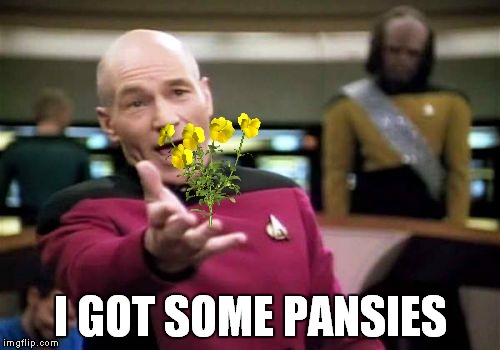 Picard Wtf Meme | I GOT SOME PANSIES | image tagged in memes,picard wtf | made w/ Imgflip meme maker