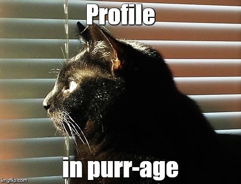 Cat in window | Profile; in purr-age | image tagged in memes,cats | made w/ Imgflip meme maker