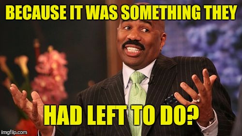 Steve Harvey Meme | BECAUSE IT WAS SOMETHING THEY HAD LEFT TO DO? | image tagged in memes,steve harvey | made w/ Imgflip meme maker