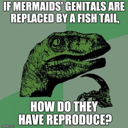 Philosoraptor | IF MERMAIDS' GENITALS ARE REPLACED BY A FISH TAIL, HOW DO THEY HAVE REPRODUCE? | image tagged in memes,philosoraptor | made w/ Imgflip meme maker