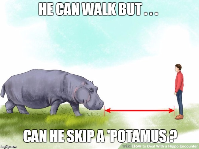 HE CAN WALK BUT . . . CAN HE SKIP A 'POTAMUS ? | made w/ Imgflip meme maker