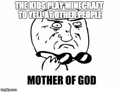 Mother Of God Meme | THE KIDS PLAY MINECRAFT TO YELL AT OTHER PEOPLE | image tagged in memes,mother of god | made w/ Imgflip meme maker