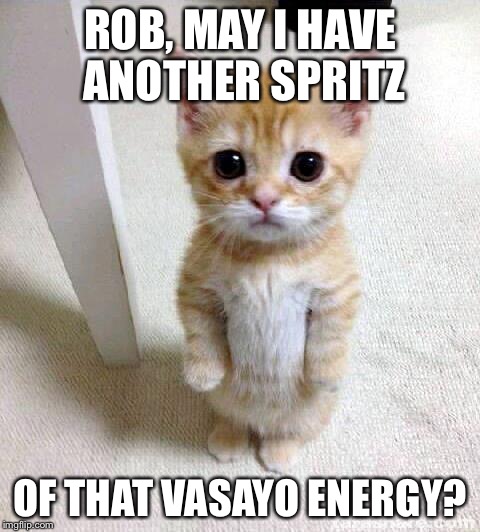 Cute Cat | ROB, MAY I HAVE ANOTHER SPRITZ; OF THAT VASAYO ENERGY? | image tagged in memes,cute cat | made w/ Imgflip meme maker