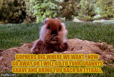 GOPHERS DIG WHERE WE WANT.  NOW GO AWAY OR I WILL GO TO YOUR GRANNYS GRAVE AND BRING YOU BACK AN EYEBALL. | made w/ Imgflip meme maker