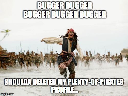 Jack Sparrow Being Chased Meme | BUGGER BUGGER BUGGER BUGGER BUGGER; SHOULDA DELETED MY PLENTY-OF-PIRATES PROFILE... | image tagged in memes,jack sparrow being chased | made w/ Imgflip meme maker