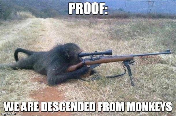 Darwin Rolls Over in His Grave | PROOF:; WE ARE DESCENDED FROM MONKEYS | image tagged in sniper monkey,funny memes,guns | made w/ Imgflip meme maker
