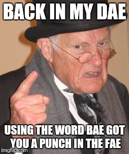 What can I sae, it was just that wae | BACK IN MY DAE; USING THE WORD BAE GOT YOU A PUNCH IN THE FAE | image tagged in memes,back in my day | made w/ Imgflip meme maker