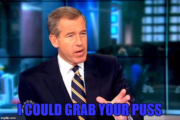 Brian Williams Was There 2 | I COULD GRAB YOUR PUSS | image tagged in memes,brian williams was there 2 | made w/ Imgflip meme maker