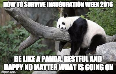 lazy panda | HOW TO SURVIVE INAUGURATION WEEK 2016; BE LIKE A PANDA. RESTFUL AND HAPPY NO MATTER WHAT IS GOING ON | image tagged in lazy panda | made w/ Imgflip meme maker