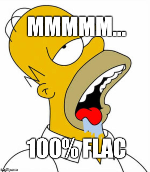 MMMMM... 100% FLAC | made w/ Imgflip meme maker