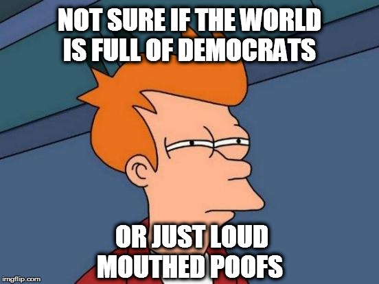 Futurama Fry | NOT SURE IF THE WORLD IS FULL OF DEMOCRATS; OR JUST LOUD MOUTHED POOFS | image tagged in memes,futurama fry | made w/ Imgflip meme maker