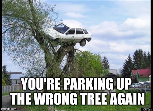 Secure Parking | YOU'RE PARKING UP THE WRONG TREE AGAIN | image tagged in memes,secure parking | made w/ Imgflip meme maker