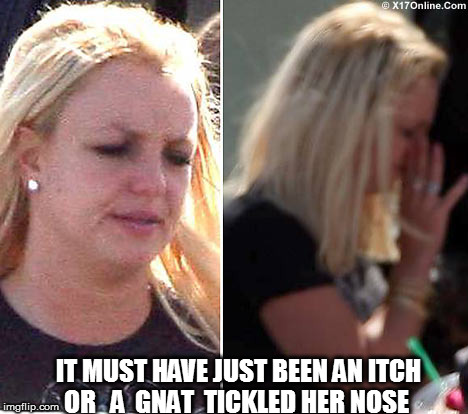 IT MUST HAVE JUST BEEN AN ITCH OR   A  GNAT  TICKLED HER NOSE | made w/ Imgflip meme maker
