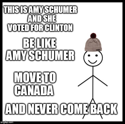 Be Like Bill Meme | THIS IS AMY SCHUMER  AND SHE VOTED FOR CLINTON; BE LIKE  AMY SCHUMER; MOVE TO CANADA; AND NEVER COME BACK | image tagged in memes,be like bill | made w/ Imgflip meme maker
