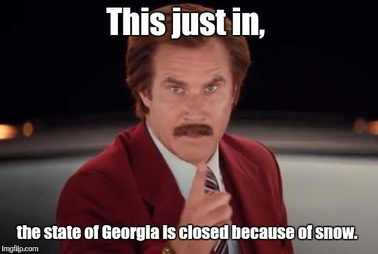 Burgundy | This just in, the state of Georgia is closed because of snow. | image tagged in burgundy | made w/ Imgflip meme maker