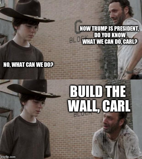 Rick and Carl | NOW TRUMP IS PRESIDENT, DO YOU KNOW WHAT WE CAN DO, CARL? NO, WHAT CAN WE DO? BUILD THE WALL, CARL | image tagged in memes,rick and carl | made w/ Imgflip meme maker