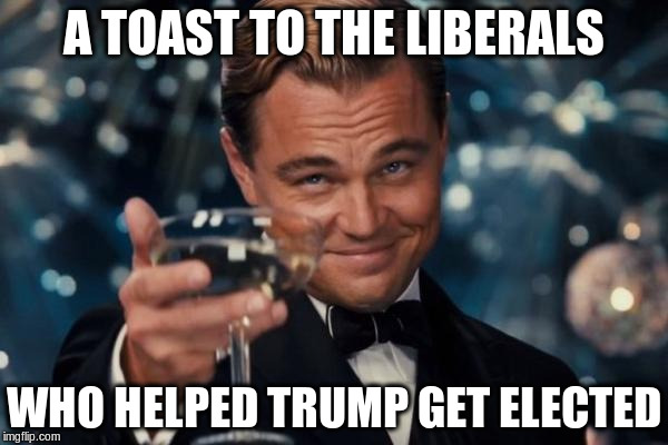 Leonardo Dicaprio Cheers | A TOAST TO THE LIBERALS; WHO HELPED TRUMP GET ELECTED | image tagged in memes,leonardo dicaprio cheers | made w/ Imgflip meme maker