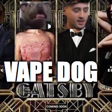 gasps u want some vape | VAPE DOG | image tagged in memes,vape,vape nation,funny,dank | made w/ Imgflip meme maker