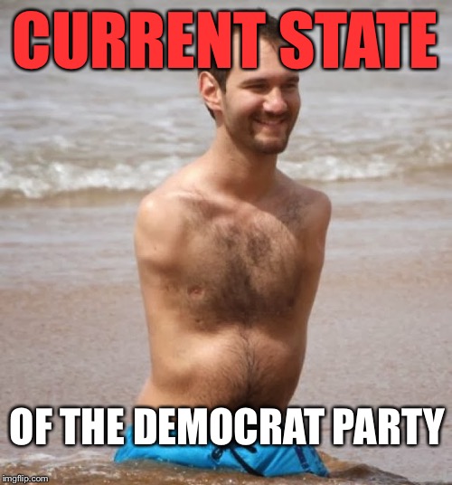 No Arms, No Legs | CURRENT STATE; OF THE DEMOCRAT PARTY | image tagged in memes,funny,politics,political,political meme,first world problems,no arms no legs guy | made w/ Imgflip meme maker
