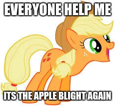 Applejack says something | EVERYONE HELP ME; ITS THE APPLE BLIGHT AGAIN | image tagged in applejack says something | made w/ Imgflip meme maker