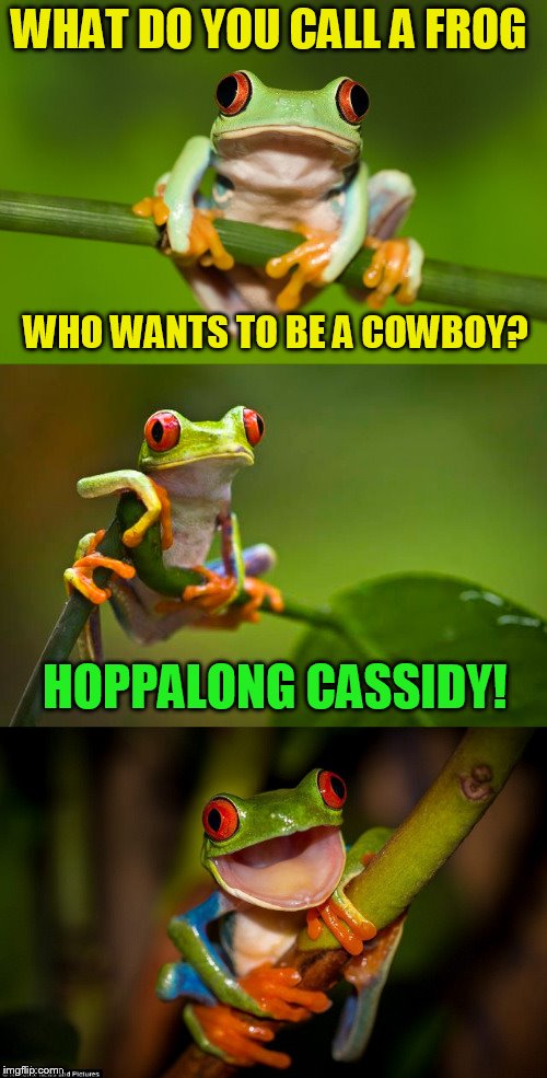 Frog Puns | WHAT DO YOU CALL A FROG; WHO WANTS TO BE A COWBOY? HOPPALONG CASSIDY! | image tagged in frog puns,memes,frogs,cowboys,jokes,puns | made w/ Imgflip meme maker