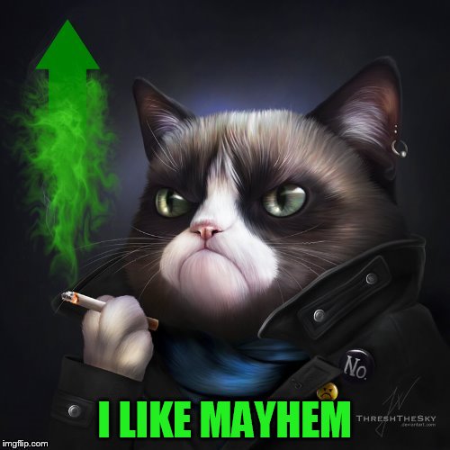 I LIKE MAYHEM | made w/ Imgflip meme maker