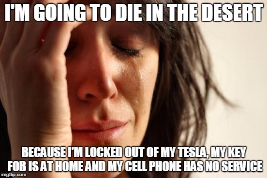 True story | I'M GOING TO DIE IN THE DESERT; BECAUSE I'M LOCKED OUT OF MY TESLA, MY KEY FOB IS AT HOME AND MY CELL PHONE HAS NO SERVICE | image tagged in memes,first world problems | made w/ Imgflip meme maker