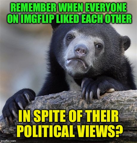 Well, except for the trolls | REMEMBER WHEN EVERYONE ON IMGFLIP LIKED EACH OTHER; IN SPITE OF THEIR POLITICAL VIEWS? | image tagged in memes,confession bear | made w/ Imgflip meme maker