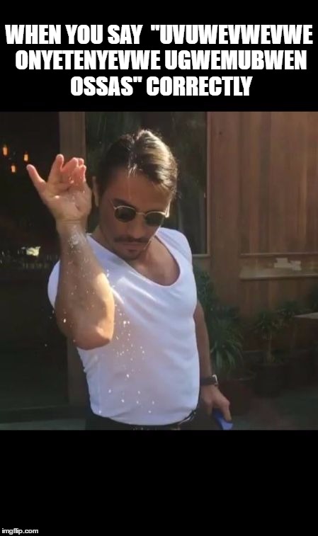 salt bae | WHEN YOU SAY

"UVUWEVWEVWE ONYETENYEVWE UGWEMUBWEN OSSAS" CORRECTLY | image tagged in salt bae | made w/ Imgflip meme maker