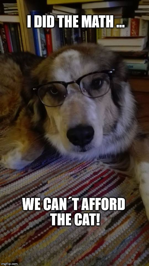 I DID THE MATH ... WE CAN´T AFFORD THE CAT! | image tagged in tassla and cat | made w/ Imgflip meme maker