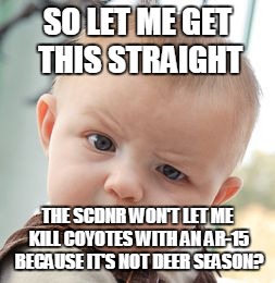 Skeptical Baby | SO LET ME GET THIS STRAIGHT; THE SCDNR WON'T LET ME KILL COYOTES WITH AN AR-15 BECAUSE IT'S NOT DEER SEASON? | image tagged in memes,skeptical baby | made w/ Imgflip meme maker