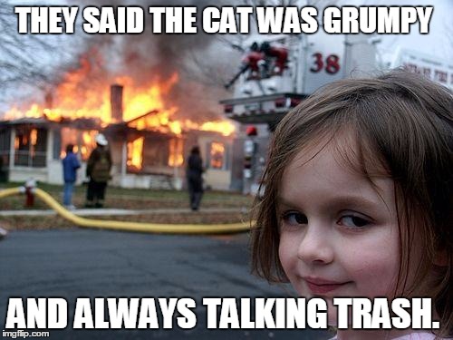 Disaster Girl | THEY SAID THE CAT WAS GRUMPY; AND ALWAYS TALKING TRASH. | image tagged in memes,disaster girl | made w/ Imgflip meme maker