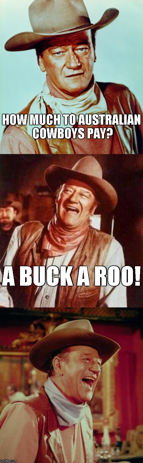 Thanks for the template DashHopes! | HOW MUCH TO AUSTRALIAN COWBOYS PAY? A BUCK A ROO! | image tagged in john wayne puns,memes,australia,australians,cowboy,cowboys | made w/ Imgflip meme maker