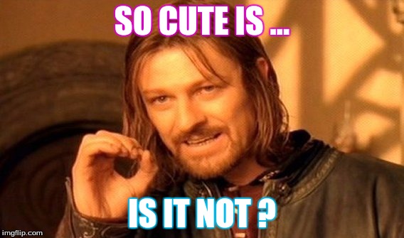 One Does Not Simply | SO CUTE IS ... IS IT NOT ? | image tagged in memes,one does not simply | made w/ Imgflip meme maker