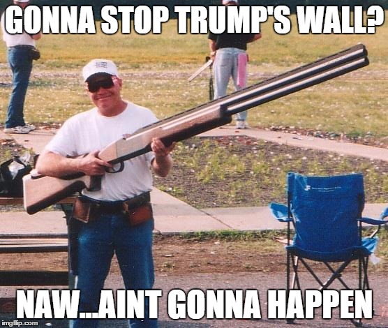 Big gun | GONNA STOP TRUMP'S WALL? NAW...AINT GONNA HAPPEN | image tagged in big gun | made w/ Imgflip meme maker