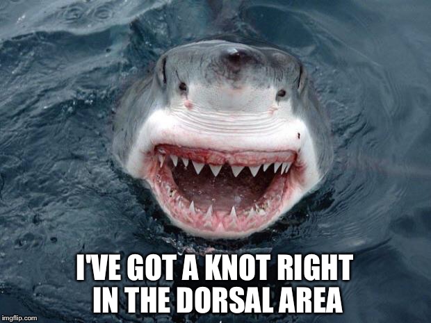 I'VE GOT A KNOT RIGHT IN THE DORSAL AREA | made w/ Imgflip meme maker