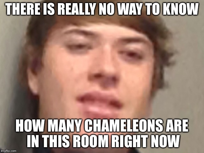 Confused Camoren | THERE IS REALLY NO WAY TO KNOW; HOW MANY CHAMELEONS ARE IN THIS ROOM RIGHT NOW | image tagged in confused camoren,memes,spicy | made w/ Imgflip meme maker