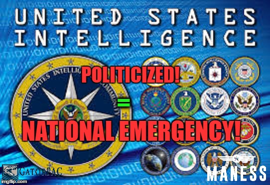 POLITICIZED! =; NATIONAL EMERGENCY! | image tagged in donald trump,intelligence | made w/ Imgflip meme maker