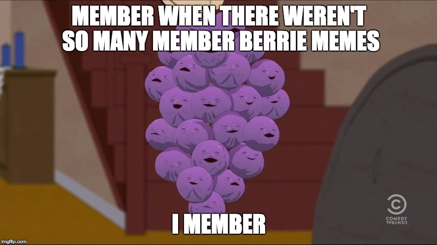 Member Berries Meme | MEMBER WHEN THERE WEREN'T SO MANY MEMBER
BERRIE MEMES; I MEMBER | image tagged in memes,member berries | made w/ Imgflip meme maker