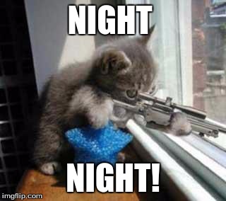 CatSniper | NIGHT; NIGHT! | image tagged in catsniper | made w/ Imgflip meme maker