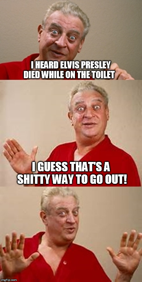 Holy Poop! | I HEARD ELVIS PRESLEY DIED WHILE ON THE TOILET; I GUESS THAT'S A SHITTY WAY TO GO OUT! | image tagged in bad pun dangerfield | made w/ Imgflip meme maker