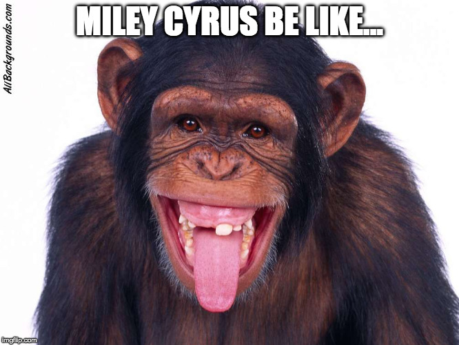 MILEY CYRUS BE LIKE... | image tagged in monkey,bad pun monkey,miley cyrus,tounge,funny,memes | made w/ Imgflip meme maker