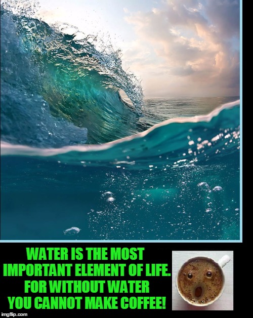 It's Scientifically Proven | WATER IS THE MOST IMPORTANT ELEMENT OF LIFE. FOR WITHOUT WATER YOU CANNOT MAKE COFFEE! | image tagged in vince vance,coffee,water,beautiful water,coffe looks surprised | made w/ Imgflip meme maker