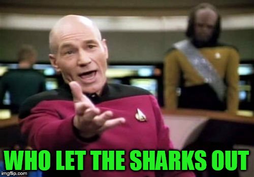 Picard Wtf Meme | WHO LET THE SHARKS OUT | image tagged in memes,picard wtf | made w/ Imgflip meme maker