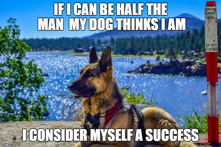 IF I CAN BE HALF THE MAN 
MY DOG THINKS I AM; I CONSIDER MYSELF A SUCCESS | image tagged in original meme | made w/ Imgflip meme maker