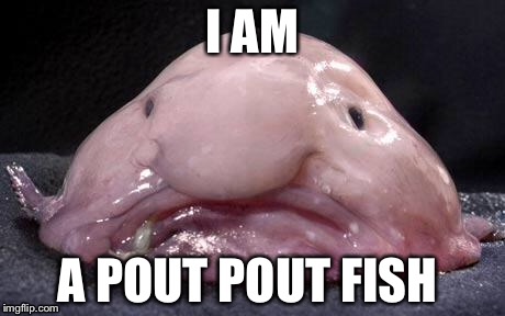 Blobfish | I AM; A POUT POUT FISH | image tagged in blobfish | made w/ Imgflip meme maker