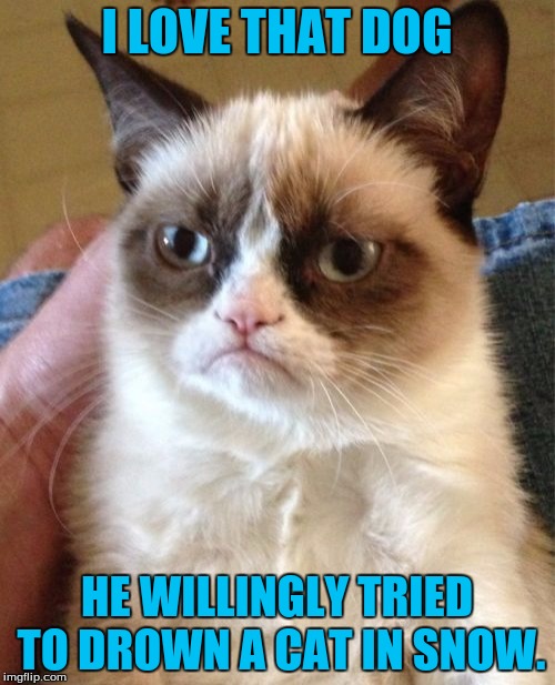 Grumpy Cat Meme | I LOVE THAT DOG HE WILLINGLY TRIED TO DROWN A CAT IN SNOW. | image tagged in memes,grumpy cat | made w/ Imgflip meme maker